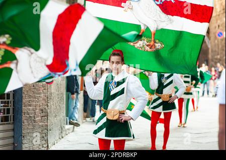 SIENA, ITALIEN - JULI 2013: Mitglieder der edlen Contrada dell'Oca tragen Fahnen mit einer gekrönten Gans auf dem Corteo Storico, einem historischen Kostümparadies Stockfoto
