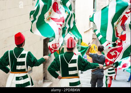 SIENA, ITALIEN - JULI 2013: Mitglieder der edlen Contrada dell'Oca tragen Fahnen mit einer gekrönten Gans auf dem Corteo Storico, einem historischen Kostümparadies Stockfoto