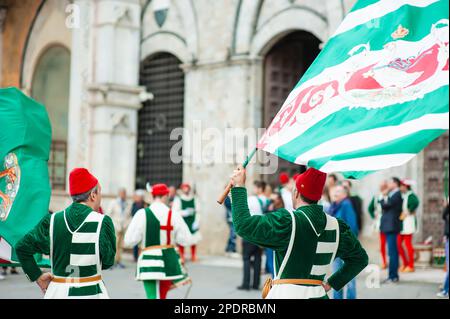 SIENA, ITALIEN - JULI 2013: Mitglieder der edlen Contrada dell'Oca tragen Fahnen mit einer gekrönten Gans auf dem Corteo Storico, einem historischen Kostümparadies Stockfoto