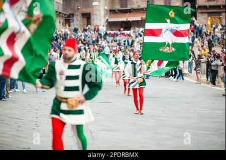 SIENA, ITALIEN - JULI 2013: Mitglieder der edlen Contrada dell'Oca tragen Fahnen mit einer gekrönten Gans auf dem Corteo Storico, einem historischen Kostümparadies Stockfoto