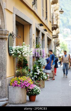 Variuos blühen in Blumentöpfen auf einer alten Kopfsteinpflasterstraße mit Souvenirläden, Restaurants und Cafés in Comer Stadt, Comer See, Italien, Europa Stockfoto