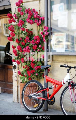 Rotes Fahrrad und blühende Rosen auf der alten Straße der berühmten Stadt Pitigliano, auf einem vulkanischen Tufa-Hügel gelegen. Wunderschöne italienische Städte und Dörfer. Stockfoto