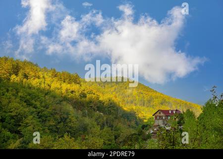 Kastamonu Provinz, Pınarbaşı Viertel, alte Häuser und Blick auf das Dorf Stockfoto