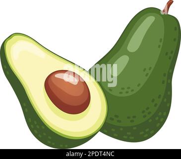 Vektordarstellung für zwei Avocado-Hälften Stock Vektor