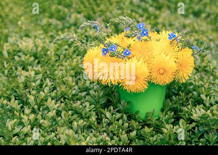 Blumenstrauß aus Löwenzahn und blauen Blumen in einem Eimer auf dem Gras. Kopierraum. Selektiver Fokus. Speicherplatz kopieren. Stockfoto