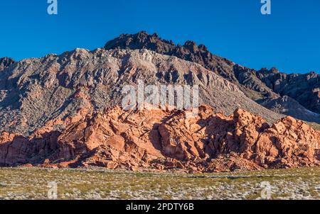 Versteinerte Redstone Dunes, Black Mtns, Aztekensandstein, Schiefer, vulkanische Felsen, Blick von der Bitter Springs Rd, Lake Mead Natl Recreation Area, Nevada, USA Stockfoto