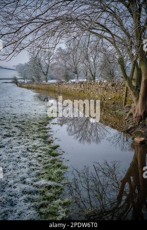 Felder, die zum Weiden von Schafen verwendet werden, die vom Fluss Aire überflutet und mit Schnee bedeckt sind, sodass klare Reflexionen im Hochwasser entstehen Stockfoto