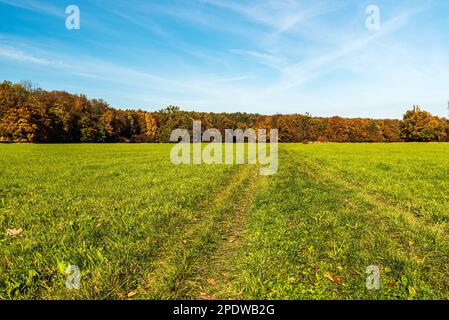 Wiese mit Fußweg und farbenfrohem Wald an einem wunderschönen Herbsttag in CHKO Poodri in der Nähe der Stadt Ostrava in der tschechischen republik Stockfoto