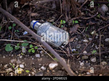 München, Deutschland. 15. März 2023. Im Englischen Garten liegt eine leere, weggeworfene Schnapsflasche im Gebüsch. Kredit: Peter Kneffel/dpa/Alamy Live News Stockfoto