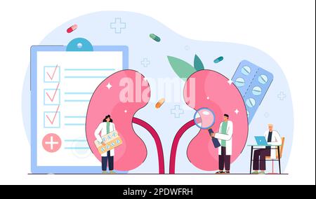 Ärzte Nephrologen untersuchen Patienten Nierengesundheit Stock Vektor