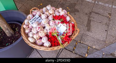 Knoblauch, Viktualienmarkt Daily Food Market, München, Bayern, Deutschland, Europa Stockfoto