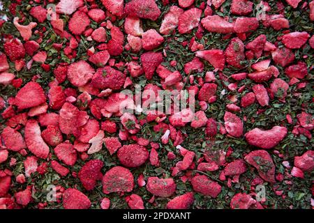 Getrockneter Tee mit Minze und Erdbeeren. Textur. Trockener Kräutertee mit Pfefferminz, Erdbeerscheiben Stockfoto
