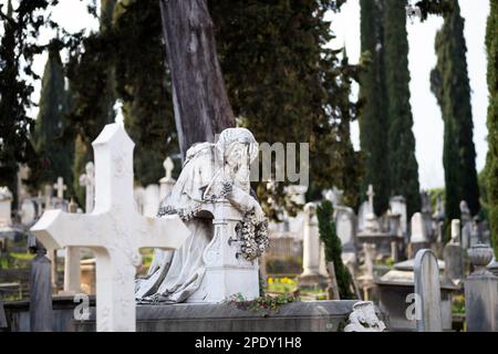 Der englische oder protestantische Friedhof in Florenz, Italien. Unter den Gräbern ist die der Dichterin Elizabeth Barrett Browning und Fanny Holman-Hunt Stockfoto