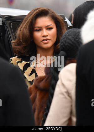 Zendaya besucht die Louis Vuitton Damenbekleidung Herbst 2023-2024 Show im Rahmen der Paris Fashion Week Stockfoto