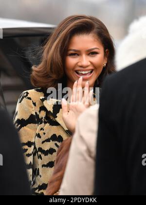 Zendaya besucht die Louis Vuitton Damenbekleidung Herbst 2023-2024 Show im Rahmen der Paris Fashion Week Stockfoto