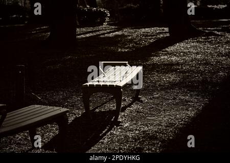 Ein malerischer Park mit einer Parkbank aus Holz und zwei Stühlen unter einem Baumkronen Stockfoto