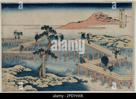 Ein antikes Bild der Acht-Teile-Brücke in der Provinz Mikawa (aus der Reihe neugieriger Aussichten auf die berühmten Brücken in den Provinzen) Anfang 1830er von Katsushika Hokusai Stockfoto