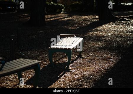 Zwei Parkbänke aus Holz in einer schwach beleuchteten Umgebung, von denen einer zur Kamera zeigt Stockfoto