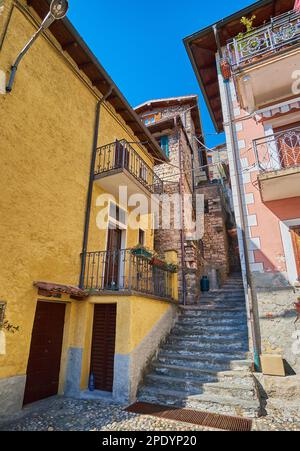 Die schmale Straße zwischen den bunten Wohnhäusern von Albogasio, Valsolda, Italien Stockfoto