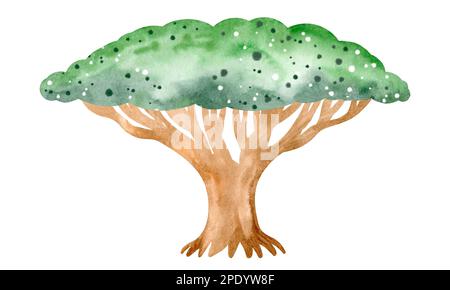Afrikanische Natur. Eine Reihe von Aquarellelementen aus Bäumen, Steinen, Pflanzen. Farbenfrohes und wunderschönes Bild. Isolierte Objekte auf weißem Hintergrund. Stockfoto