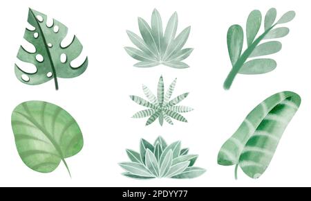 Afrikanische Natur. Eine Reihe von Aquarellelementen aus Bäumen, Steinen, Pflanzen. Farbenfrohes und wunderschönes Bild. Isolierte Objekte auf weißem Hintergrund. Stockfoto