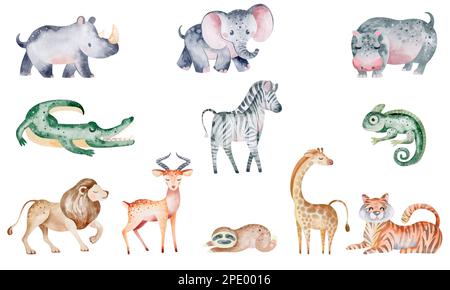 Wunderschöne tropische Aquarellbilder von Tieren, Pflanzen, Zebras, Giraffen, Tigern, löwe, Elefant, Nashorn, Faultier. Isoliert auf weißem Hintergrund Stockfoto