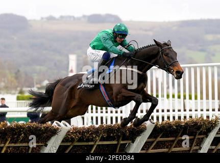 Impaire et Passe, geritten von Jockey Paul Townend, auf dem Weg, die Hürde der Ballymore Novice am zweiten Tag des Cheltenham Festivals auf der Cheltenham Rennbahn zu gewinnen. Bilddatum: Mittwoch, 15. März 2023. Stockfoto