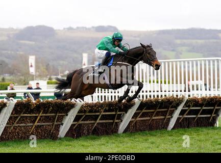 Impaire et Passe, geritten von Jockey Paul Townend, auf dem Weg, die Hürde der Ballymore Novice am zweiten Tag des Cheltenham Festivals auf der Cheltenham Rennbahn zu gewinnen. Bilddatum: Mittwoch, 15. März 2023. Stockfoto