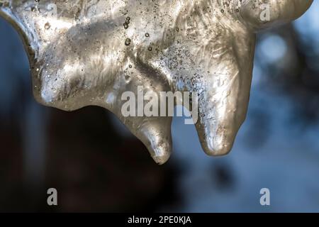 Details zur Eisformation No Boundaries, die von Eiskletterern im Pictured Rocks National Lakeshore bei Munising, Obere Halbinsel, Michigan, USA, verwendet wird Stockfoto