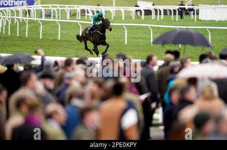 Impaire et Passe, geritten von Jockey Paul Townend, auf dem Weg, die Hürde der Ballymore Novice am zweiten Tag des Cheltenham Festivals auf der Cheltenham Rennbahn zu gewinnen. Bilddatum: Mittwoch, 15. März 2023. Stockfoto