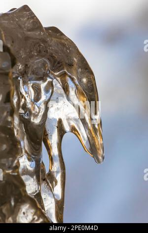 Details zur Eisformation No Boundaries, die von Eiskletterern im Pictured Rocks National Lakeshore bei Munising, Obere Halbinsel, Michigan, USA, verwendet wird Stockfoto