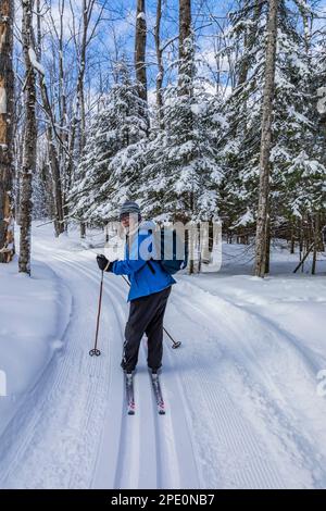 Karen Rentz Skifahren entlang der Munising Ski Trails am Pictured Rocks National Lakeshore, Munising, Upper Peninsula, Michigan, USA Stockfoto