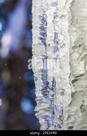 Details zur Eisformation No Boundaries, die von Eiskletterern im Pictured Rocks National Lakeshore bei Munising, Obere Halbinsel, Michigan, USA, verwendet wird Stockfoto