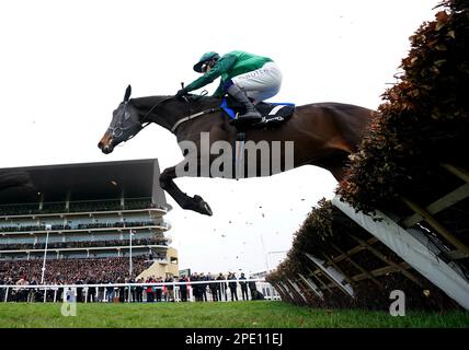 Impaire et Passe, geritten von Jockey Paul Townend, auf dem Weg, die Hürde der Ballymore Novice am zweiten Tag des Cheltenham Festivals auf der Cheltenham Rennbahn zu gewinnen. Bilddatum: Mittwoch, 15. März 2023. Stockfoto