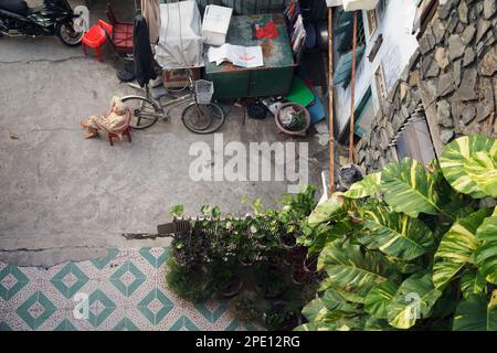 Ho Chi Minh Stadt, Vietnam - 4. Juli 2019: Alte vietnamesische Dame sitzt in einem Hof und beobachtet. Ältere asiatische Frau trägt Schlafanzug Draufsicht Stockfoto