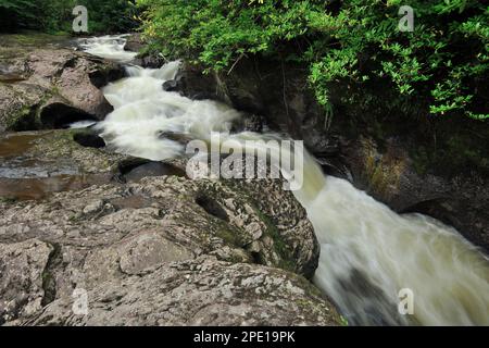 Buchanty Wasserfall auf dem Fluss Almond ein Nebenfluss des Flusses Tay im Sommer, ein bekannter Ort, um wandernde Atlantische Lachse zu beobachten. Stockfoto