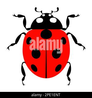Grafik mit Marienkäfer-Insektenkäfer-Symbol und Tiersymbol Stock Vektor