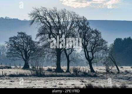 A Frosty Morning, Chipping, Preston, Lancashire, UK Stockfoto