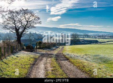 A Frosty Morning, Chipping, Preston, Lancashire, UK Stockfoto