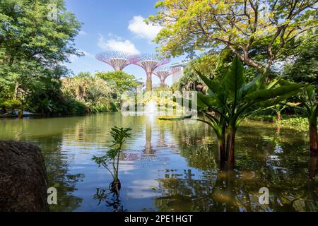 Blick über einen See bei Gardens by the Bay in Singapur Stockfoto