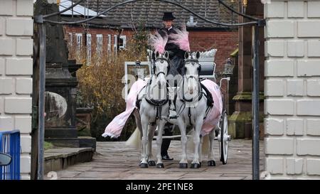 Warrington, Cheshire, Vereinigtes Königreich – 15. März 2023 – die Beerdigung von Brianna Ghey fand in der St. Elphin's Church in Warrington statt. Die Ermordung von Brianna Ghey fand am 11. Februar 2023 im Culcheth Linear Park, Borough of Warrington, Cheshire, England, statt, wo sie mit mehreren Stichwunden gefunden wurde. Zwei beschuldigte Teenager, ein Junge und ein Mädchen, beide 15 Jahre alt, sind in Polizeigewahrsam. Da Großbritannien keine Selbstausweis hat, kann die transitorische Teenagerin Brianna Ghey nicht als ihr wahres Ich begraben werden und wird nicht die würde der „geliebten Tochter“ auf ihrem Grabstein dulden. Die Kleiderordnung für die Beerdigung war Pink. Stockfoto