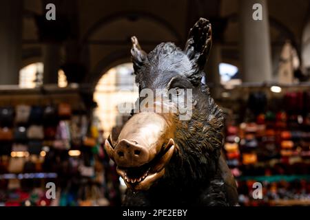 Il Porcellino ein bronzefarbener Wildschweinbrunnen in Florenz mit einer Schnauze, die roh von Besuchern eingerieben wurde, die Münzen darauf reiben, um für Glück in den Brunnen zu fallen. Stockfoto