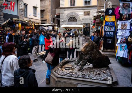 Il Porcellino ein bronzefarbener Wildschweinbrunnen in Florenz mit einer Schnauze, die roh von Besuchern eingerieben wurde, die Münzen darauf reiben, um für Glück in den Brunnen zu fallen. Stockfoto