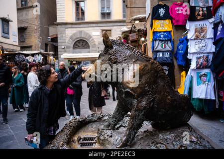 Il Porcellino ein bronzefarbener Wildschweinbrunnen in Florenz mit einer Schnauze, die roh von Besuchern eingerieben wurde, die Münzen darauf reiben, um für Glück in den Brunnen zu fallen. Stockfoto