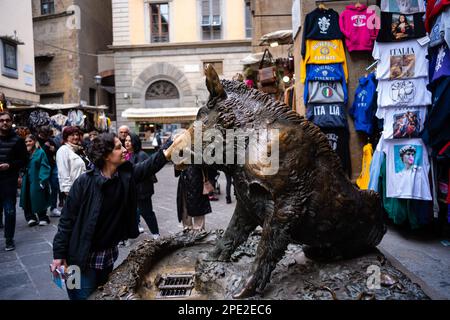 Il Porcellino ein bronzefarbener Wildschweinbrunnen in Florenz mit einer Schnauze, die roh von Besuchern eingerieben wurde, die Münzen darauf reiben, um für Glück in den Brunnen zu fallen. Stockfoto