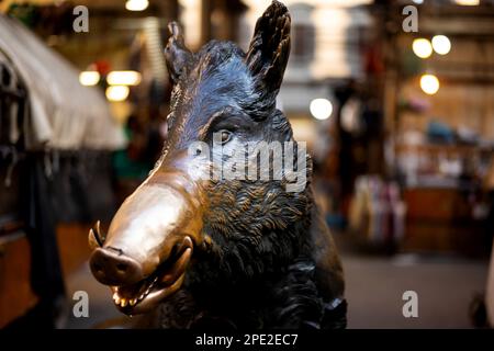 Il Porcellino ein bronzefarbener Wildschweinbrunnen in Florenz mit einer Schnauze, die roh von Besuchern eingerieben wurde, die Münzen darauf reiben, um für Glück in den Brunnen zu fallen. Stockfoto