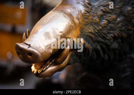 Il Porcellino ein bronzefarbener Wildschweinbrunnen in Florenz mit einer Schnauze, die roh von Besuchern eingerieben wurde, die Münzen darauf reiben, um für Glück in den Brunnen zu fallen. Stockfoto