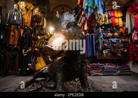 Il Porcellino ein bronzefarbener Wildschweinbrunnen in Florenz mit einer Schnauze, die roh von Besuchern eingerieben wurde, die Münzen darauf reiben, um für Glück in den Brunnen zu fallen. Stockfoto