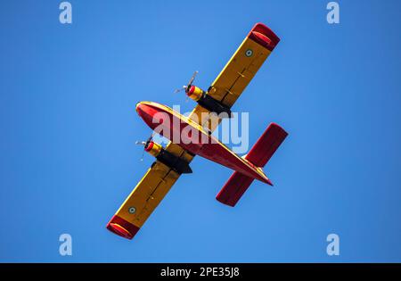 Canadair-Flug, Feuerwehrflugzeug, Scooper-Flug auf blauem Himmel im Hintergrund, unter Sicht. Gelbrote Farbe Wasserflugzeug für Rettung und Transport. Stockfoto