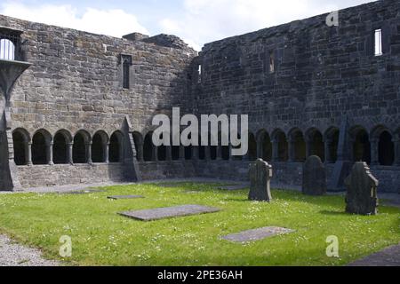 Kloster an den Ruinen der Abtei Sligo, Mainistir Shligigh EIRE Stockfoto